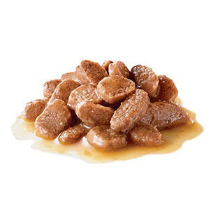 Amazon | ロイヤルカナン FHN -WET ステアライズド 猫用 85g×48個